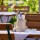 Consejos para decorar la terraza de tu restaurante